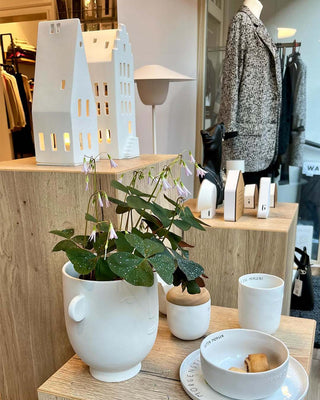 concept-store-ladeneinrichtung-ladenregale-mandai-design-wohnreich-2