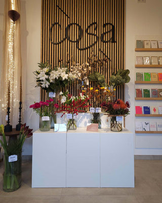 ladeneinrichtung-cosa-concept-lounge-mandai-design_10