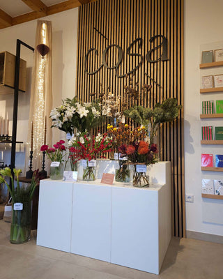 ladeneinrichtung-cosa-concept-lounge-mandai-design_3